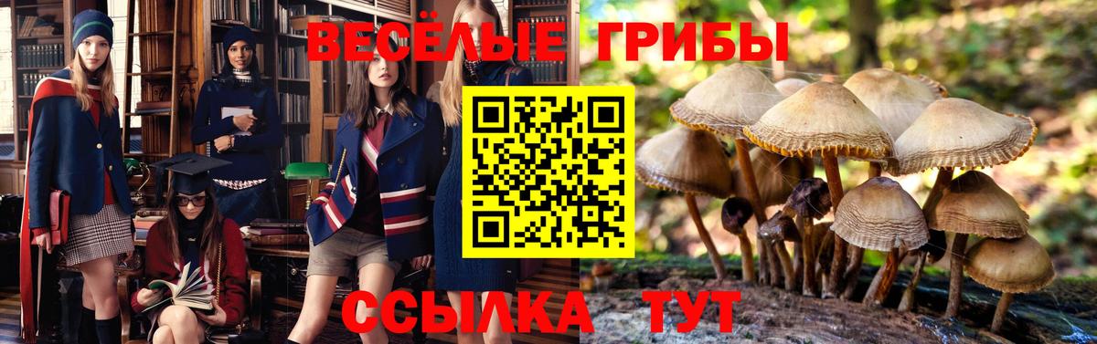 Новокубанск  Галлюциногенные грибы ЛСД  Вход с VPN 